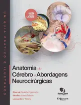 Anatomia do Cérebro e Abordagens Neurocirúrgicas